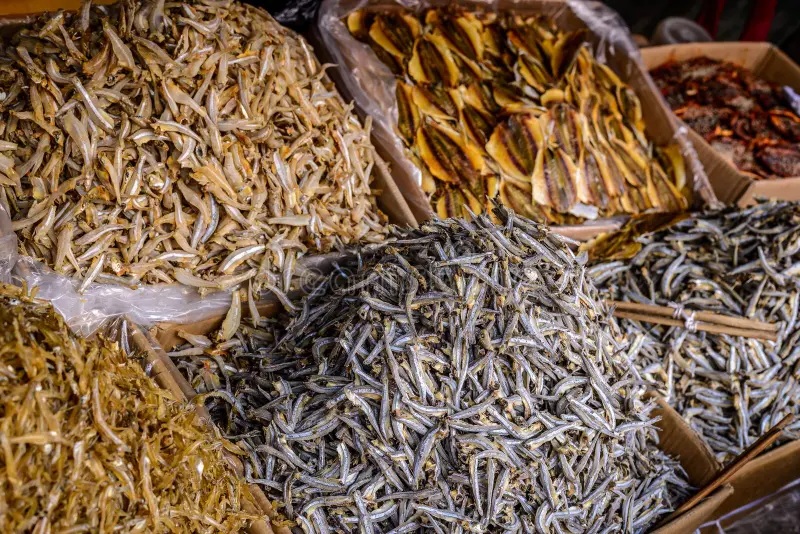Dry Fish